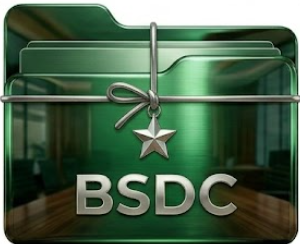 Best Star Logo